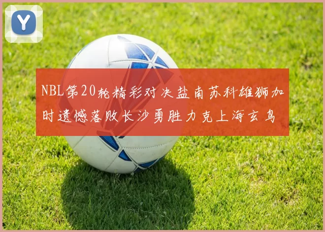 NBL第20轮精彩对决盐南苏科雄狮加时遗憾落败长沙勇胜力克上海玄鸟