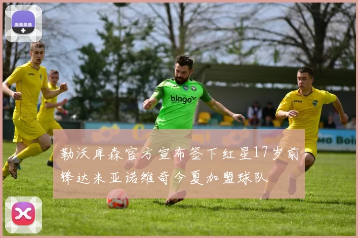 勒沃库森官方宣布签下红星17岁前锋达米亚诺维奇今夏加盟球队